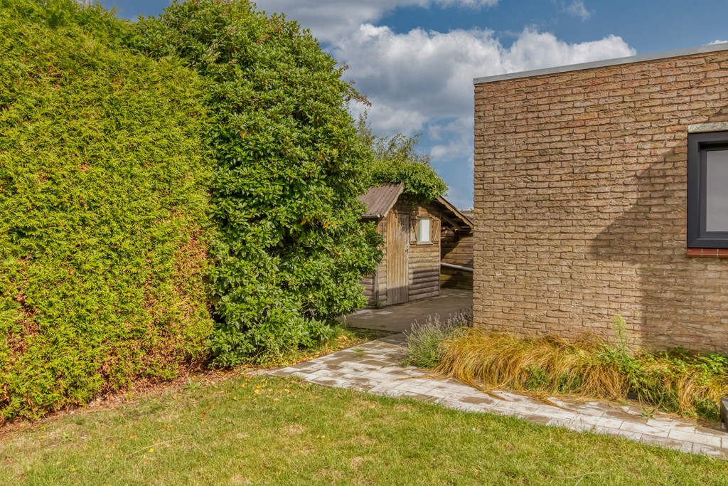 Lamsoor 5 Nieuwvliet-4 (1).jpg